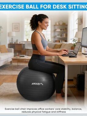 APEXUP Black Exercise Ball